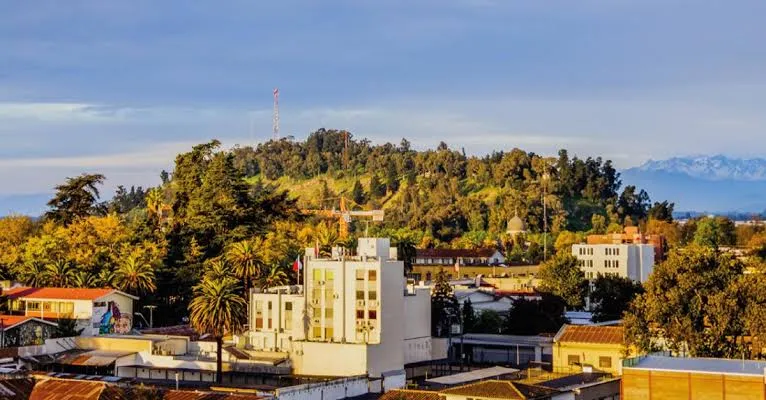 Sendero de tierra que sube por un cerro con vegetación nativa
